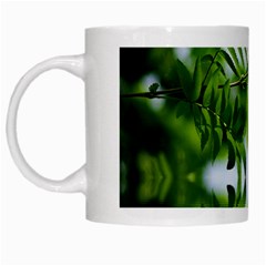 Leafs With Waterreflection White Coffee Mug by Siebenhuehner