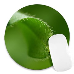 Leaf 8  Mouse Pad (round) by Siebenhuehner