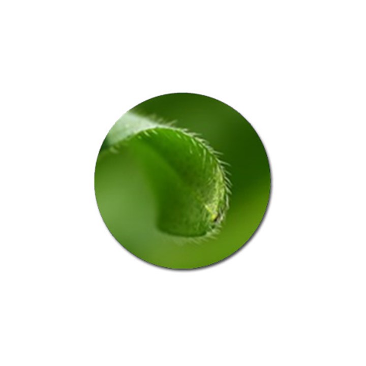 Leaf Golf Ball Marker 10 Pack