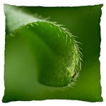 Leaf Large Cushion Case (Two Sided)  Front