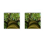 Tree Cufflinks (Square) Front(Pair)