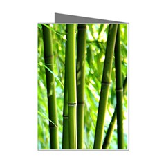 Bamboo Mini Greeting Card (8 Pack) by Siebenhuehner