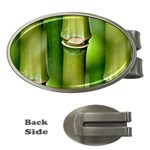 Bamboo Money Clip (Oval) Front