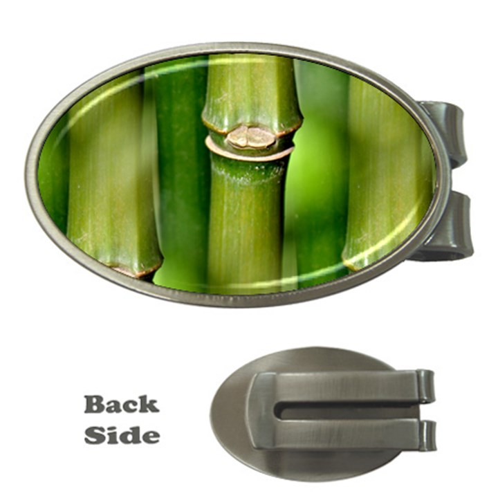 Bamboo Money Clip (Oval)