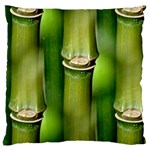 Bamboo Large Cushion Case (Two Sided)  Front