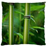 Bamboo Large Cushion Case (Two Sided)  Front