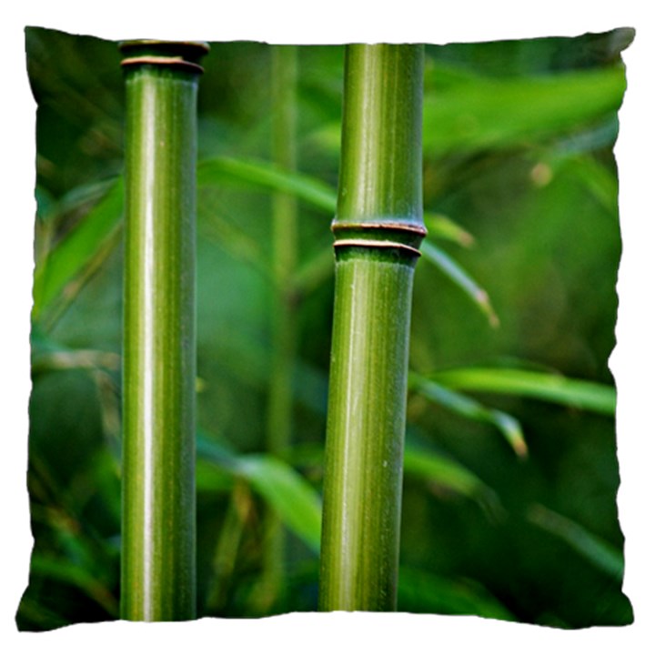 Bamboo Large Cushion Case (Two Sided) 