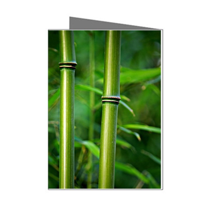 Bamboo Mini Greeting Card (8 Pack)