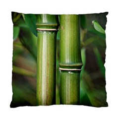 Bamboo Cushion Case (single Sided)  by Siebenhuehner