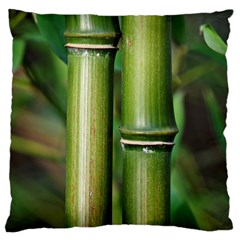 Bamboo Large Cushion Case (single Sided)  by Siebenhuehner