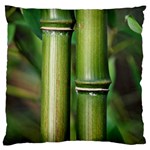 Bamboo Large Cushion Case (Two Sided)  Front