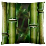 Bamboo Large Cushion Case (Two Sided)  Front