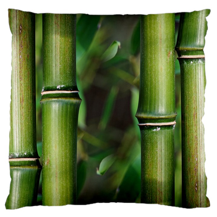 Bamboo Large Cushion Case (Two Sided) 