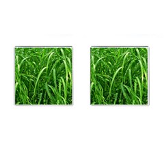 Grass Cufflinks (square) by Siebenhuehner