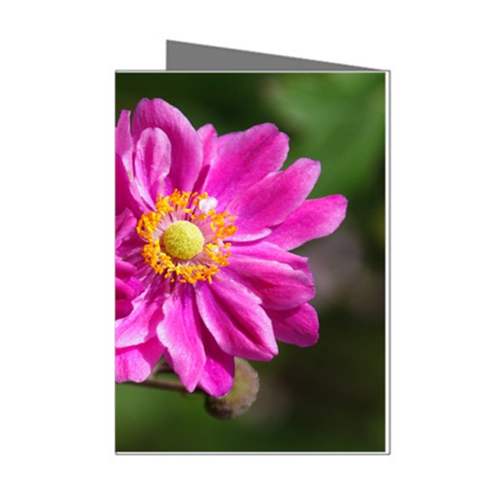 Flower Mini Greeting Card (8 Pack)