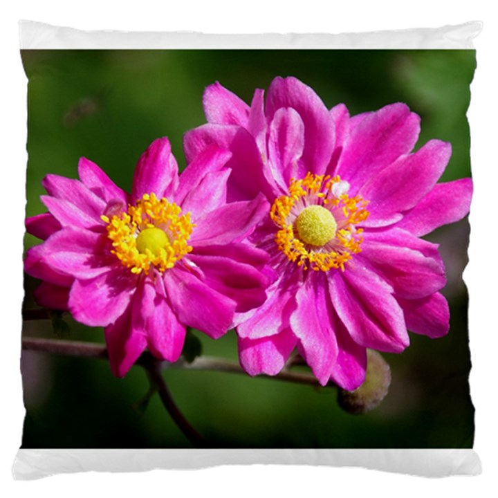 Flower Large Cushion Case (Two Sided) 