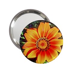 Flower In A Parking Lot Handbag Mirror (2 25 ) by sirhowardlee