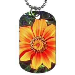 Flower In A Parking Lot Dog Tag (two-sided)  by sirhowardlee