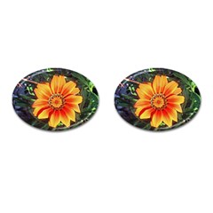 Flower In A Parking Lot Cufflinks (oval) by sirhowardlee