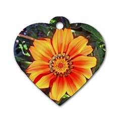 Flower In A Parking Lot Dog Tag Heart (one Sided)  by sirhowardlee