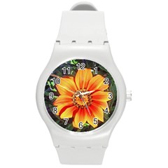 Flower In A Parking Lot Plastic Sport Watch (medium) by sirhowardlee