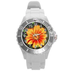 Flower In A Parking Lot Plastic Sport Watch (large) by sirhowardlee