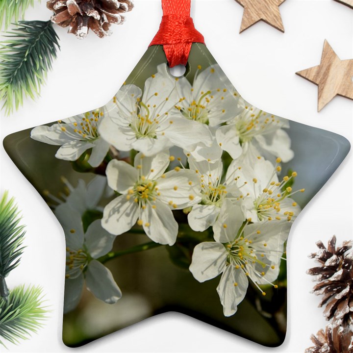 Spring Flowers Star Ornament