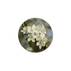 Spring Flowers Golf Ball Marker by anstey