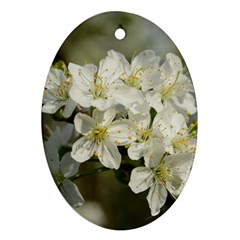 Spring Flowers Oval Ornament (two Sides) by anstey