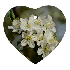 Spring Flowers Heart Ornament (two Sides) by anstey