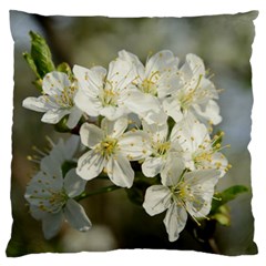 Spring Flowers Large Cushion Case (single Sided)  by anstey