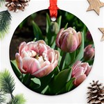 Tulips Round Ornament Front