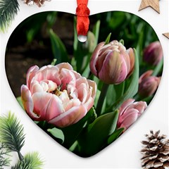 Tulips Heart Ornament by anstey