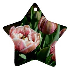 Tulips Star Ornament (two Sides) by anstey