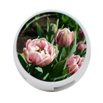 Tulips 4-Port USB Hub (Two Sides) Front