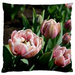 Tulips Large Flano Cushion Case (One Side) Front