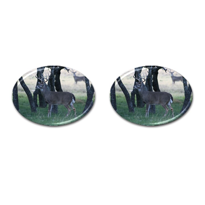 Texas Whitetail Cufflinks (Oval)