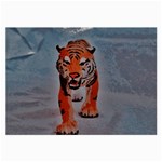 Tiger Large Glasses Cloth Front