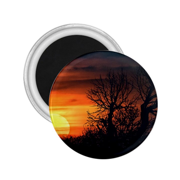 Sunset At Nature Landscape 2.25  Magnets