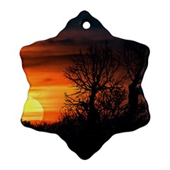 Sunset At Nature Landscape Snowflake Ornament (two Sides) by dflcprints