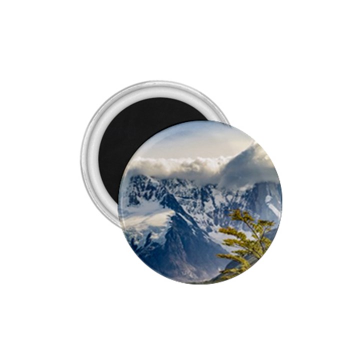 Snowy Andes Mountains, El Chalten Argentina 1.75  Magnets