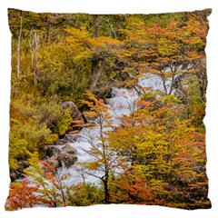 Colored Forest Landscape Scene, Patagonia   Argentina Standard Flano Cushion Case (two Sides) by dflcprints