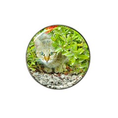 Hidden Domestic Cat With Alert Expression Hat Clip Ball Marker by dflcprints