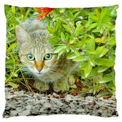 Hidden Domestic Cat With Alert Expression Large Flano Cushion Case (two Sides) by dflcprints