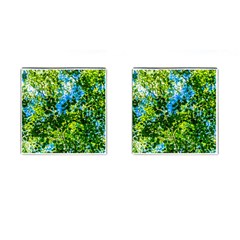 Forest   Strain Towards The Light Cufflinks (square) by FunnyCow