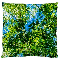 Forest   Strain Towards The Light Large Cushion Case (two Sides) by FunnyCow