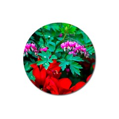 Bleeding Heart Flowers Magnet 3  (round) by FunnyCow