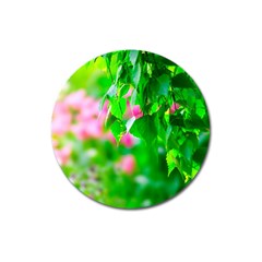 Green Birch Leaves, Pink Flowers Magnet 3  (round) by FunnyCow