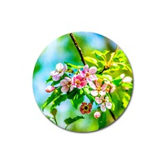 Crab Apple Flowers Magnet 3  (round) by FunnyCow