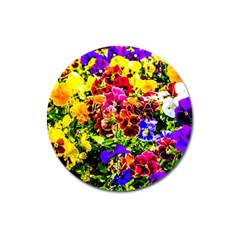 Viola Tricolor Flowers Magnet 3  (round) by FunnyCow